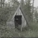 Dub Shack