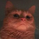 Le Artist discord icon