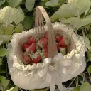 🍓The Strawberry Patch🍓