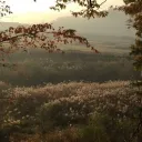 ~•Oasis•~ discord icon