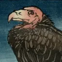 𝐌𝐀𝐑𝐊’𝐒 𝐃𝐎𝐌𝐀𝐈𝐍