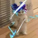 .exe STORE