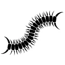 Worm