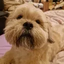 Food where???