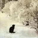  • . The Thicket Discord Server Icon