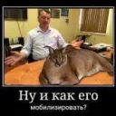 каталог серверов