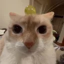 Nugget's Modded Minecraft