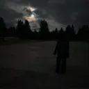 @nylo Discord Server Icon