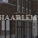 Haarlem | Surveillance
