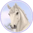 ୨୧ Cute Doves' Garden ♡