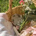 ・˚₊  Blossom Grove Discord Server Icon