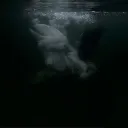 {~ 𝑇ℎ𝑒 𝑊𝑜𝑛𝑑𝑒𝑟𝑙𝑎𝑛𝑑 ~}