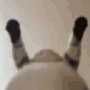 purinie