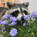 stay trashy broskies Discord server icon