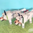 check announcements btw we're ... Discord Server Icon