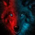 DarkWolfHybrids Den