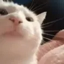 Alex’s and Cleo’s Discord Serv... Discord Server Icon