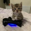 [Insert Server Name Here] Discord Server Icon