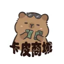 🦦卡皮商城