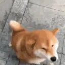 Nebulae Discord Server Icon