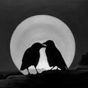 Raven's Haven | Official Discord Server Icon
