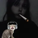 dylans cuteness fan club Discord Server Icon