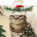 have a holly jolly wiresmas Discord Server Icon