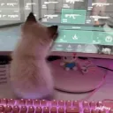 M!LF
