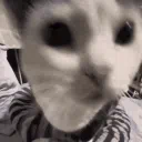 AstrAl — мониторинг Discord сервера, статистика и рейтинг