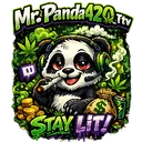Panda's Bamboo Forest 🌿🐼🎋