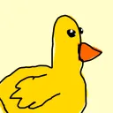 <QUACKS>