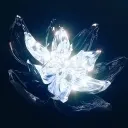 • Noxiur • discord icon