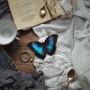 [18+] Everlocke: School for Go... Discord Server Icon