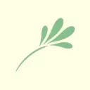 Sapling