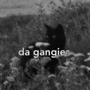 ᴅᴀ ɢᴀɴɢɪᴇꜱ ₍^. .^₎⟆