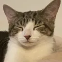 [ARCHIVE] Ministry of Media | Public Relations