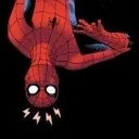 | SPIDER COMMUNITY |