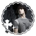 I . ⌢  the silver vale    multirp Discord Server Icon