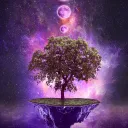 Creator's Support Hub