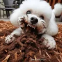 Mulch Gang 2: THE REBORN