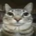 Me and da bois Discord server icon