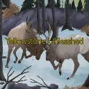 Yellowstone Unleashed