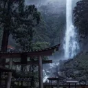 Oasis 18+⁺₊ Discord Server Icon