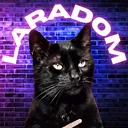 🌸 Laradom Cult 🌸