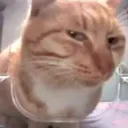 키이 월드