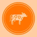 100 cows