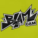 BLAMCAM