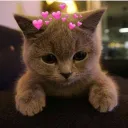 MILLI