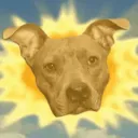 audash Discord Server Icon