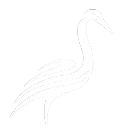 VIRTUAL CRANE AIRLINES